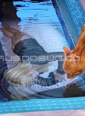 Индивидуалка Алина №40229, 29 лет